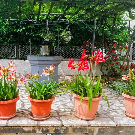 Apartman Lavanda Sa Bazenom I Okucnicom 4*
