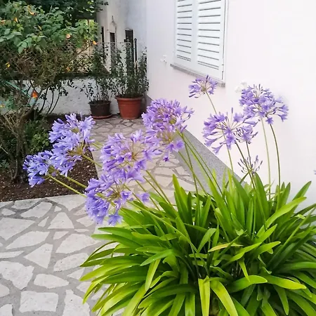 Lavanda Sa Bazenom I Okucnicom 4* Apartman Hreljin