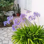 Lavanda Sa Bazenom I Okucnicom 4* Apartment Hreljin