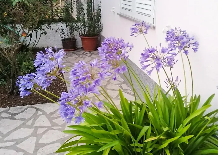 Lavanda Sa Bazenom I Okucnicom 4* アパート Hreljin